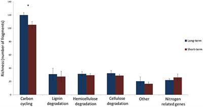 Primer Sets Developed for Functional Genes Reveal Shifts in Functionality of Fungal Community in Soils